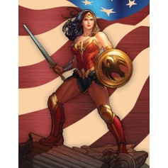 DC Comics Wonder Woman With Shield And Sword Tin Sign Free Shipping Space City Kids Clothing Store