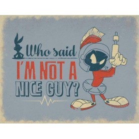 Warner Brothers Looney Tunes Marvin The Martian Who Said I'm Not A Nice Guy Tin Sign Free Shipping Space City Kids Clothing