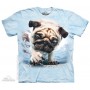 The Mountain Artwear Duncan Underwater Dog Children's Shirt
