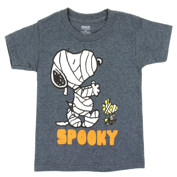https://spacecitykids.com/844-thickbox_default/peanuts-snoopy-and-woodstock-mummy-halloween-toddler-boys-shirt.jpg